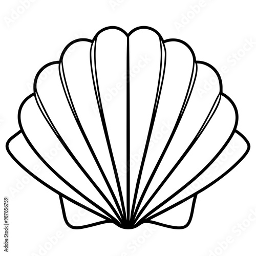 Symmetrical Scallop Shell with Radiating Ridge Lines - Vector Art