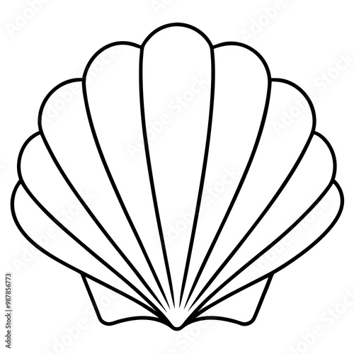 Symmetrical Scallop Shell with Radiating Ridge Lines - Vector Art