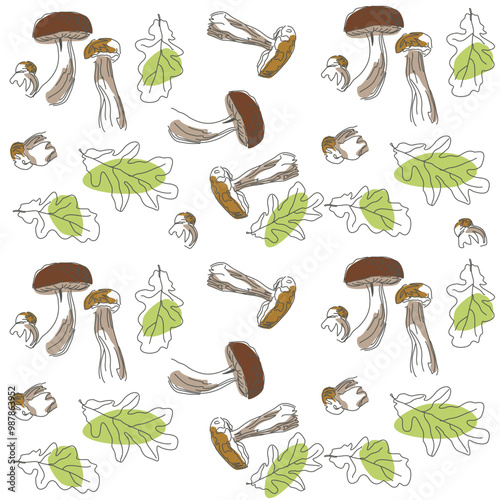 Vector image of a boletus mushroom. The most beautiful autumn time. The fruits of the forest. Eco pattern of mushrooms