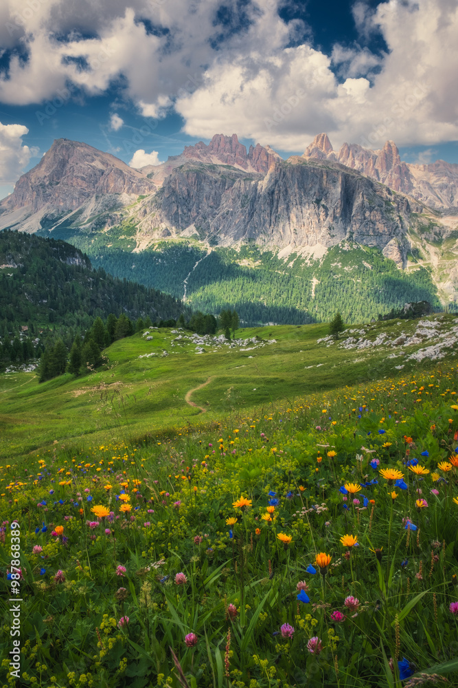 Obraz premium Scenic view of meadow, flowers and mountains in Dolomites