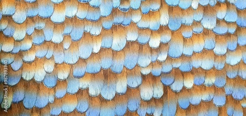 Stylish ornament from bird feathers ornament on fabric wallpaper. Interior design, bird feathers wallpaper texture, decor. The pattern on the fabric is bright feathers.