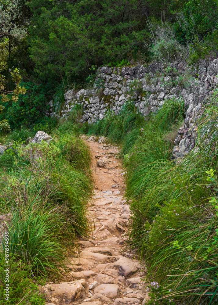 Narrow hiking trail. Stony path winds among rocky hills, surrounded by Mediterranean shrubs and sparse trees. Mallorca, Spain Narrow hiking trail. Stony path winds among rocky hills, surrounded by Mediterranean shrubs and sparse trees. Mallorca, Spain