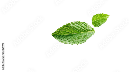 mint