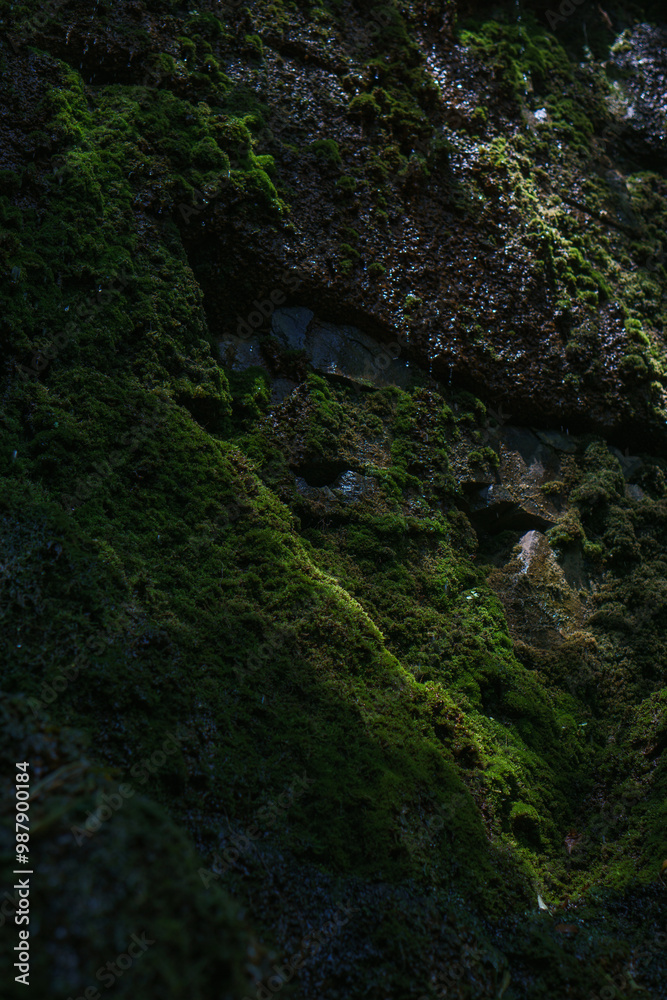 Nature Nature