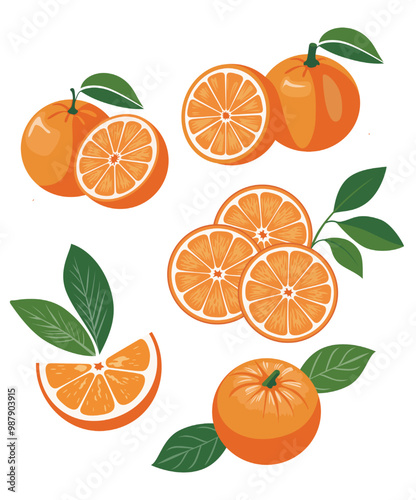 Set of vector illustration of a fresh orange with one half cut open and green leaf isolated. the orange's texture is clearly. The illustration on white background.