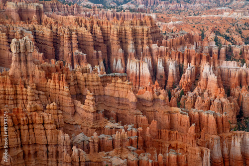 Bryce Hoodoos