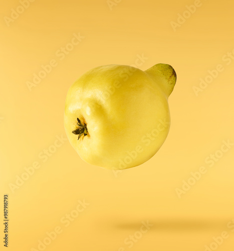 Fresh ripe yellow Quince fruit  falling in the air isolated on yellow background. Food levitation or zero gravity conception