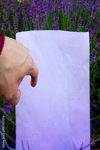 Obraz na płótnie A beautiful branch of lavender lies on a white background. High quality photo w salonie