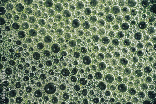 Macro photo of green bubbles on the water surface, representing algae photosynthesis. The detailed texture and unique shape of the bubbles highlight the harmony of the underwater world