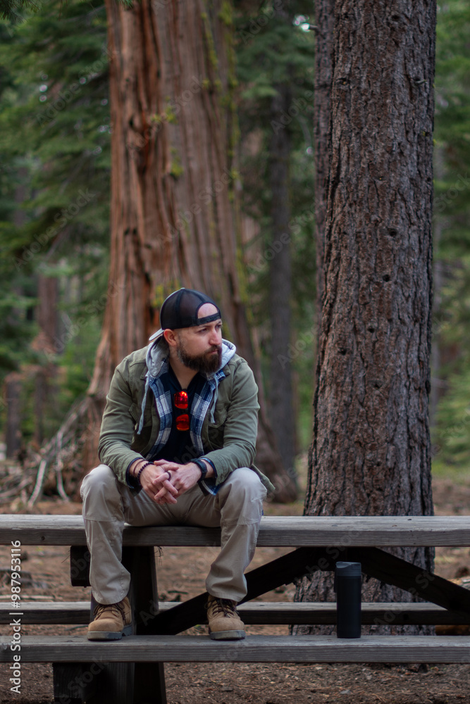 man sitting on a bench in a forest, large trees, outdoors, looking away. man sitting on a bench in a forest, large trees, outdoors, looking away.