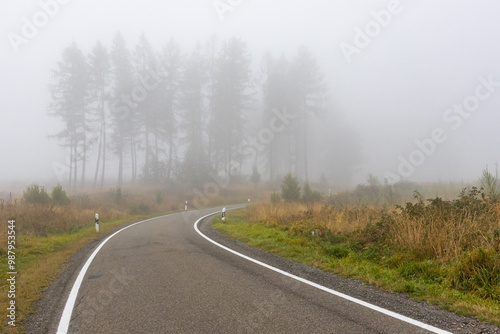 Straße durch Wald mit Nebel