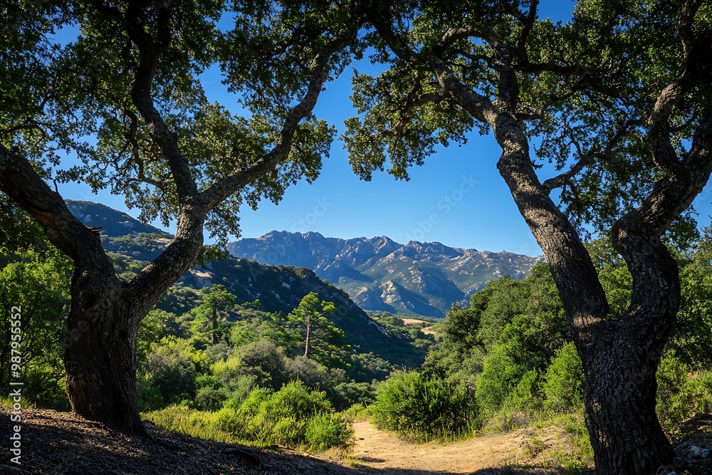 Mountain Landscape Seen Through the Branches of Two Oak Trees Mountain Landscape Seen Through the Branches of Two Oak Trees