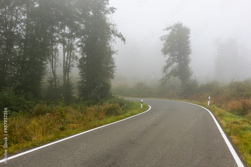 Naklejka premium Straße durch Wald mit Nebel