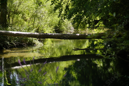 España Rural 