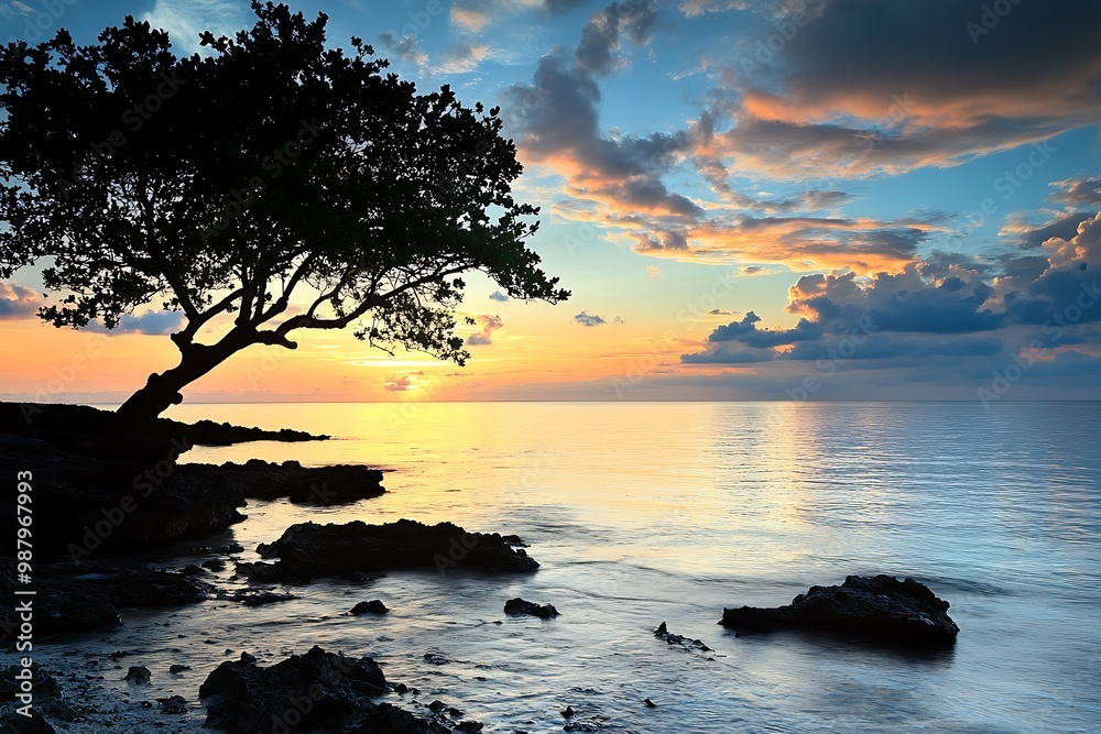 Silhouette of tree on rocky shore at sunset with colorful clouds Silhouette of tree on rocky shore at sunset with colorful clouds