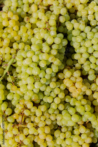 Close-up of fresh green grapes