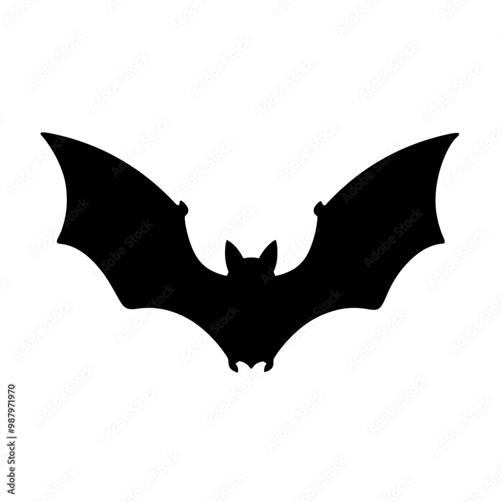 Fototapeta premium Bat Silhouette
