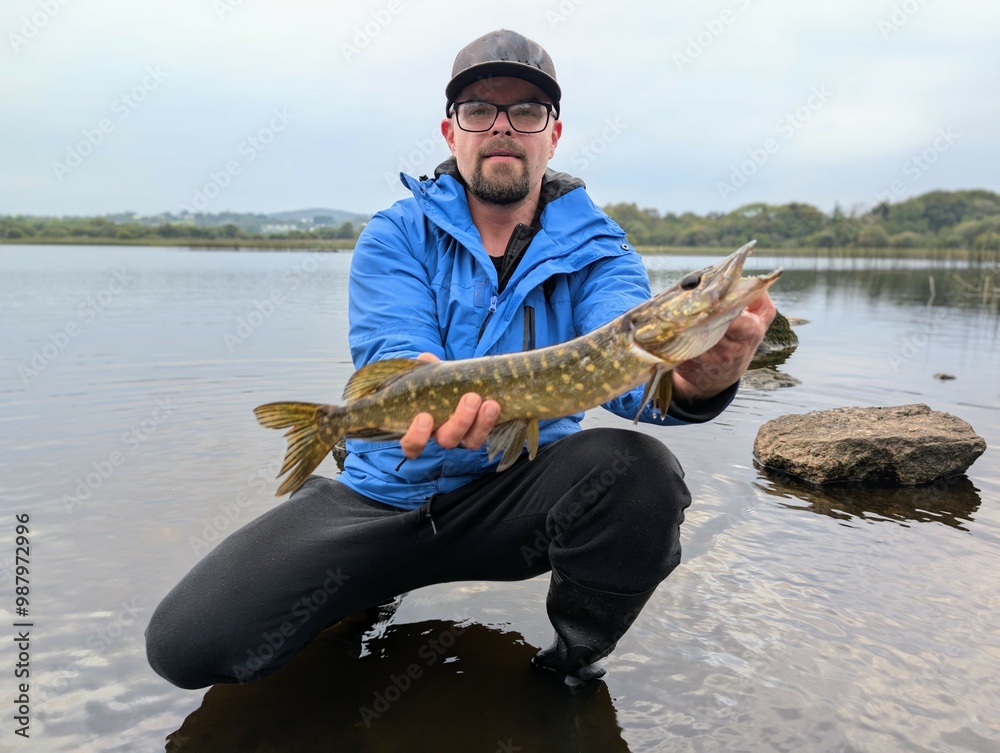 Northern pike freshwater fish caught in Ballyquirke lough, Galway, Ireland, water animals and wildlife, nature background, fishing, catch and release