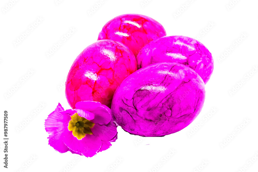 Pinke Blüte vor Ostereiern Pinke Blüte vor Ostereiern