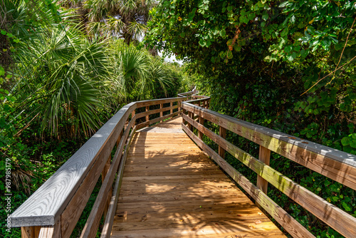 Walking path in Florida. Luxurious vegetation and a wooded 