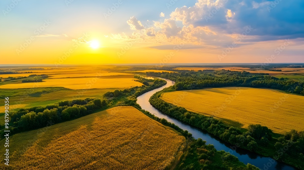 Naklejka premium Aerial view of a vast farmland with golden wheat fields and a river cutting through