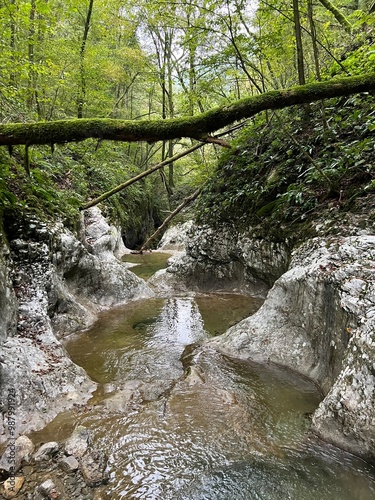 The Doblarec Gorge or Perilo Gorge, Rocinj (Slovenia) - Schlucht des Baches Doblarec (Slowenien) - Kanjon potoka Doblarec, Soteska Doblarec ali soteska Doblarca, Ročinj (Slovenija) photo