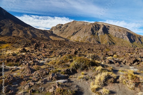 Volcanic Landscape, Tongariro photo