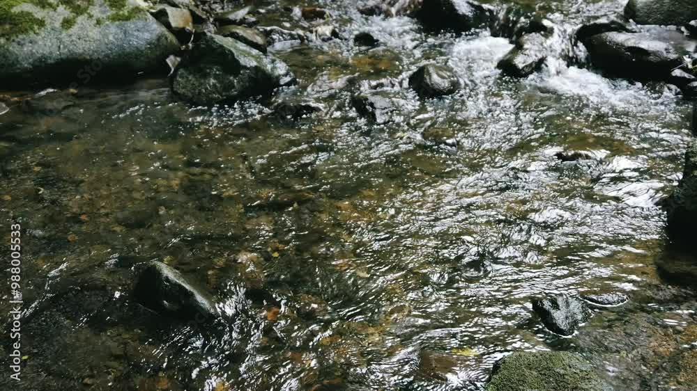ローアングルの渓流風景 ローアングルの渓流風景