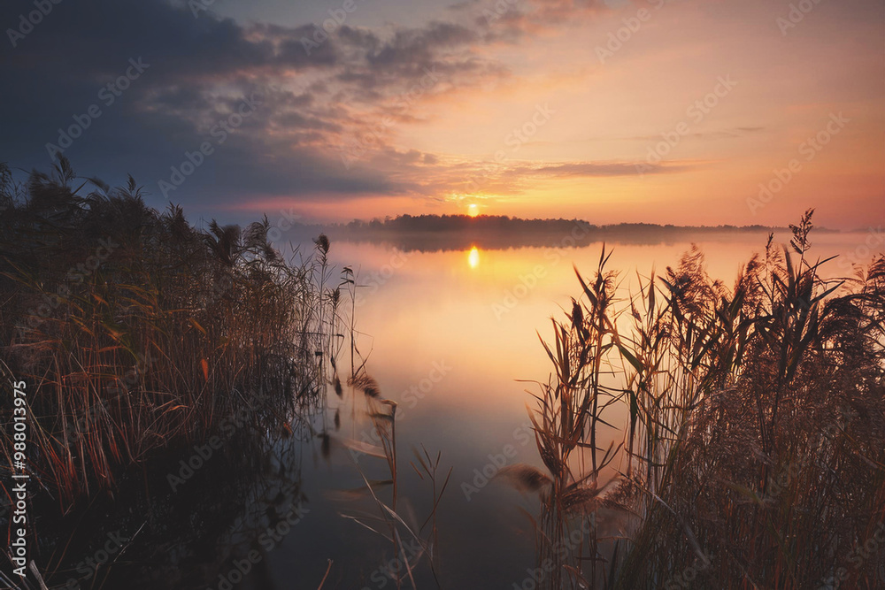 Golden sunrise reflecting on lake with reeds in foreground Golden sunrise reflecting on lake with reeds in foreground