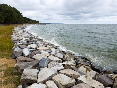 Ocean with beach and woods separated by rocky shore photo