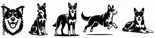 Set of australian kelpie dog vector silhouette illustration collection photo