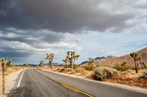 Dramatic sky over Joshua Tree National Park