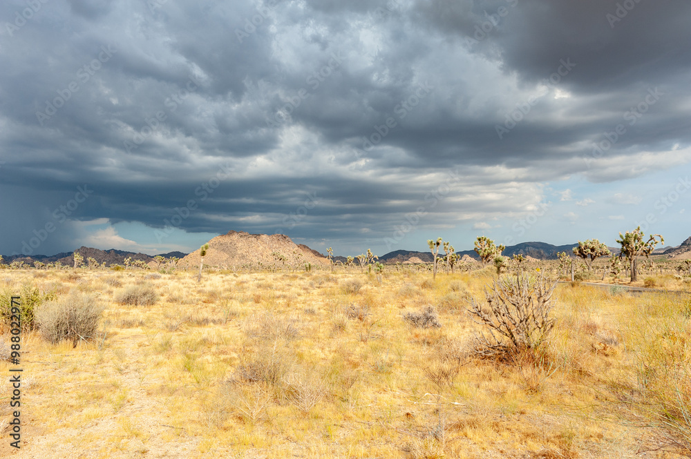 Dramatic sky over Joshua Tree National Park Dramatic sky over Joshua Tree National Park