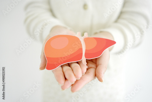  woman holding healthy liver, organ donation, hepatitis vaccination, liver cancer treatment, world hepatitis day
 photo