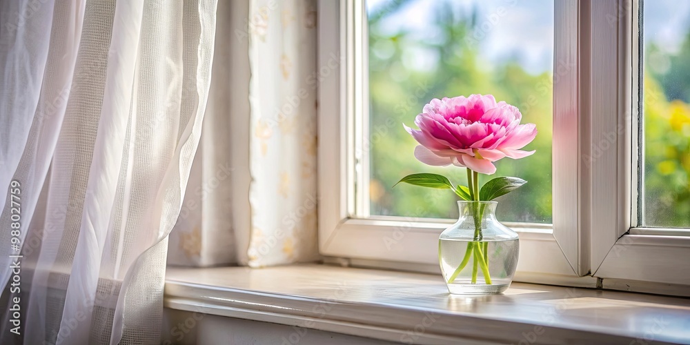 Close-up of beautiful flower on window sill with curtain and distant window background Close-up of beautiful flower on window sill with curtain and distant window background