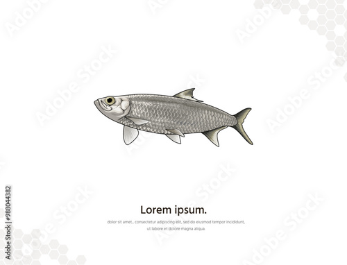 Herrings vector art for wall decoration landscape