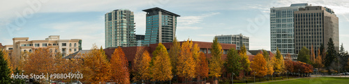 Panoramic view of Bellevue, Washington, USA showing fall color on a nice autumn day_11032009_003. photo