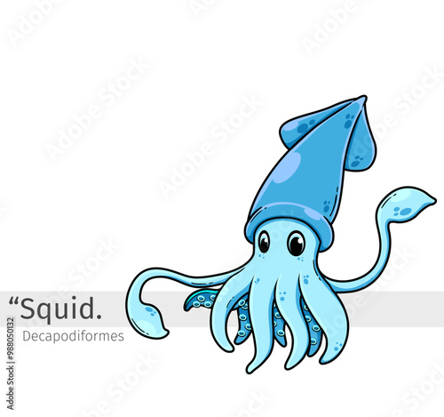 Squid Cartoon illustration