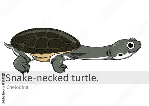 Snake necked turtle Cartoon illustration