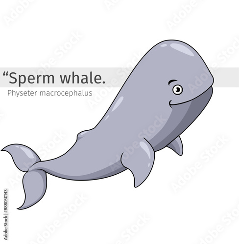 Sperm whale Cartoon illustration