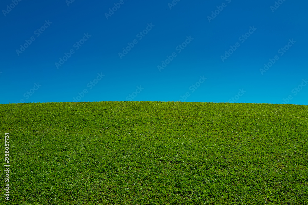 Obraz premium Green grass field. Grassy meadow background. Green grassy field. Grassy pasture landscape background. Wide green grass field. Grassland for background. Nature landscape background.