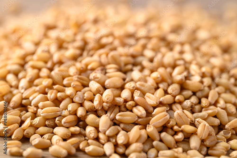 Whole wheat grain texture background, Food ingredient Whole wheat grain texture background, Food ingredient