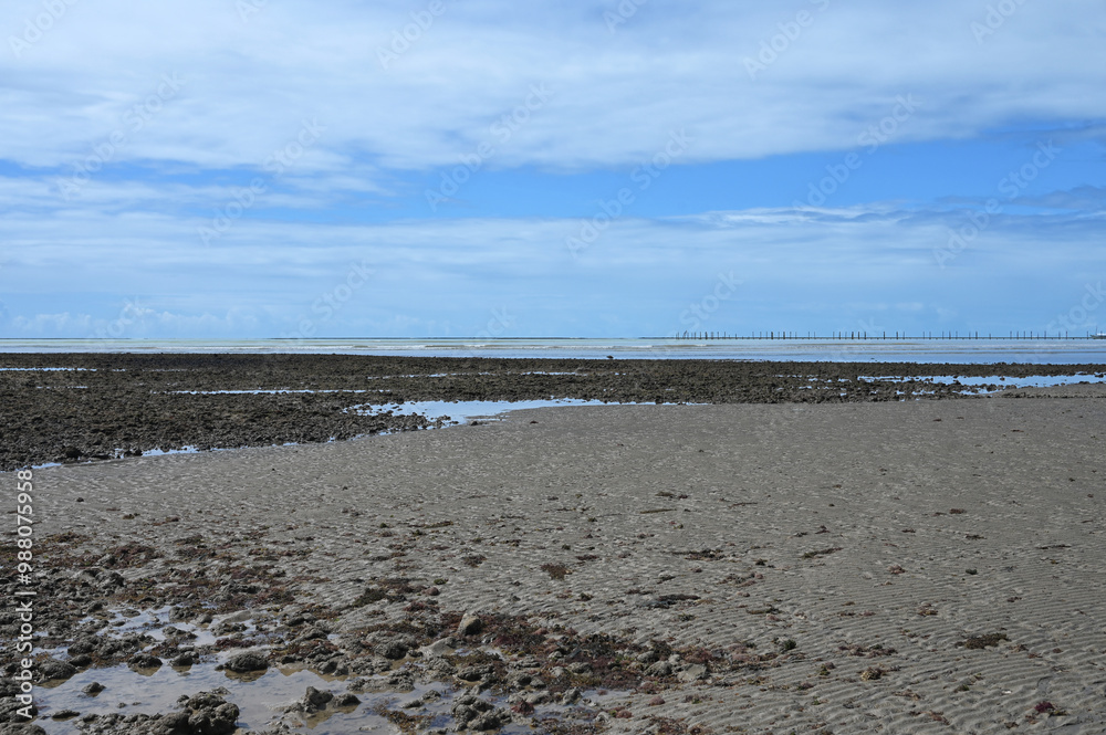 beach brazilian coast sea atlantic ocean sunny day natural beauty Bahia Brazil beach brazilian coast sea atlantic ocean sunny day natural beauty Bahia Brazil
