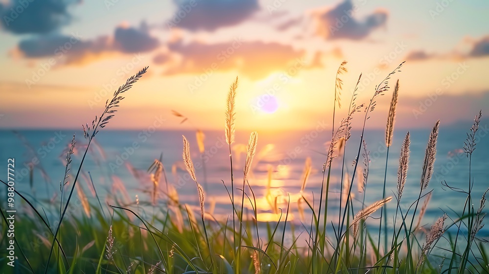 Sunset over the sea with grass in foreground. Beautiful nature background Sunset over the sea with grass in foreground. Beautiful nature background
