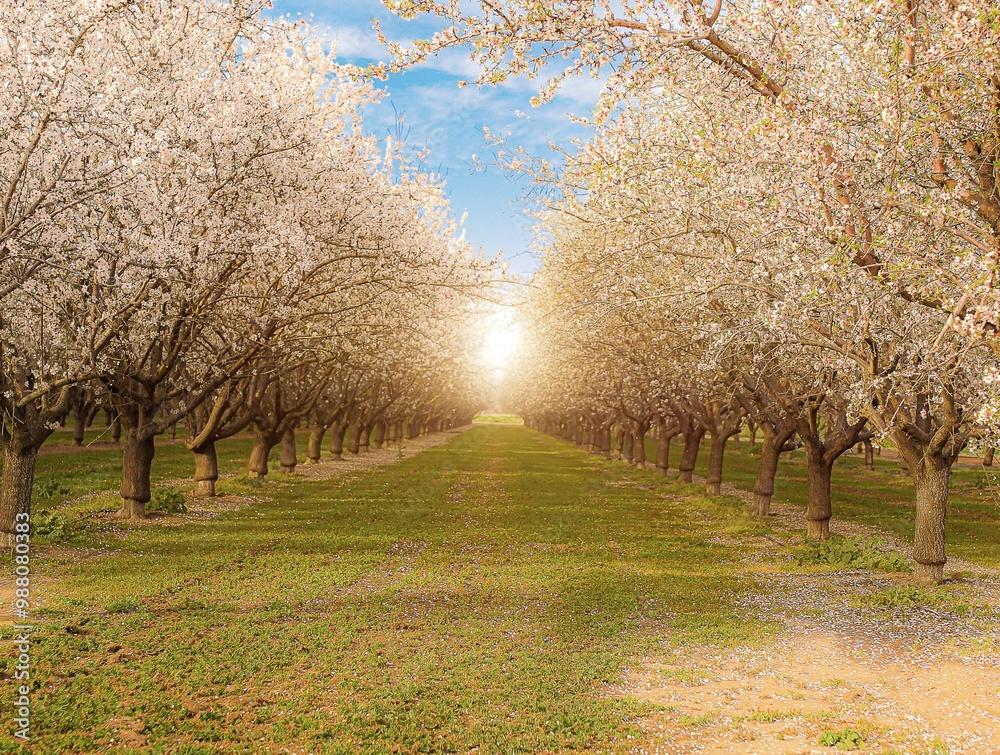 Obraz premium Can you feel the warmth 