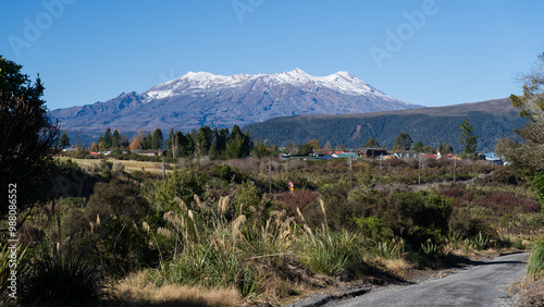 Mt Ruapehu as seen from the Fishers Track photo