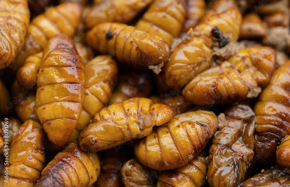 Full frame shot of fried silkworm pupae. Silkworm pupae are a good source of protein, lipids, minerals, and vitamins and are considered a good source of nutrients for humans. Full frame shot of fried silkworm pupae. Silkworm pupae are a good source of protein, lipids, minerals, and vitamins and are considered a good source of nutrients for humans.