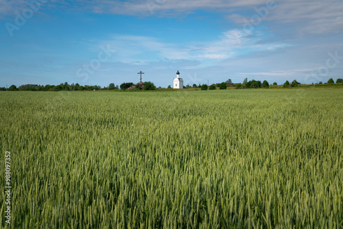 View of the chapel of the Sovereign Icon of the Mother of God and the Cross of Worship against the background of a wheat field on a sunny summer day, Izborsk, Pskov region, Pechersk district, Russia photo