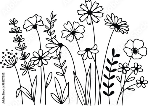 Hand drawn flower meadow Style vector illustration, Flowers and leaf herbs isolated on white Background, Invitation, Wedding card, Greeting card, Posster.