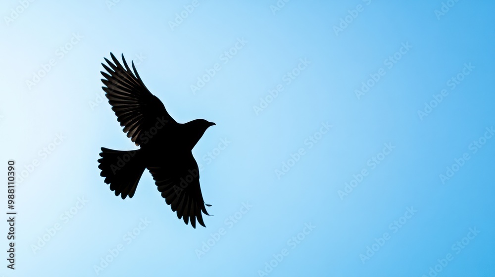 Obraz premium A silhouette of a bird in flight against a clear blue sky.